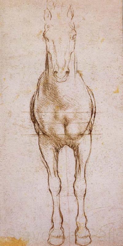 LEONARDO da Vinci Study of the proportion of horses Germany oil painting art